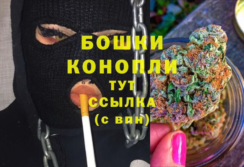 Бошки Шишки White Widow  Солигалич 